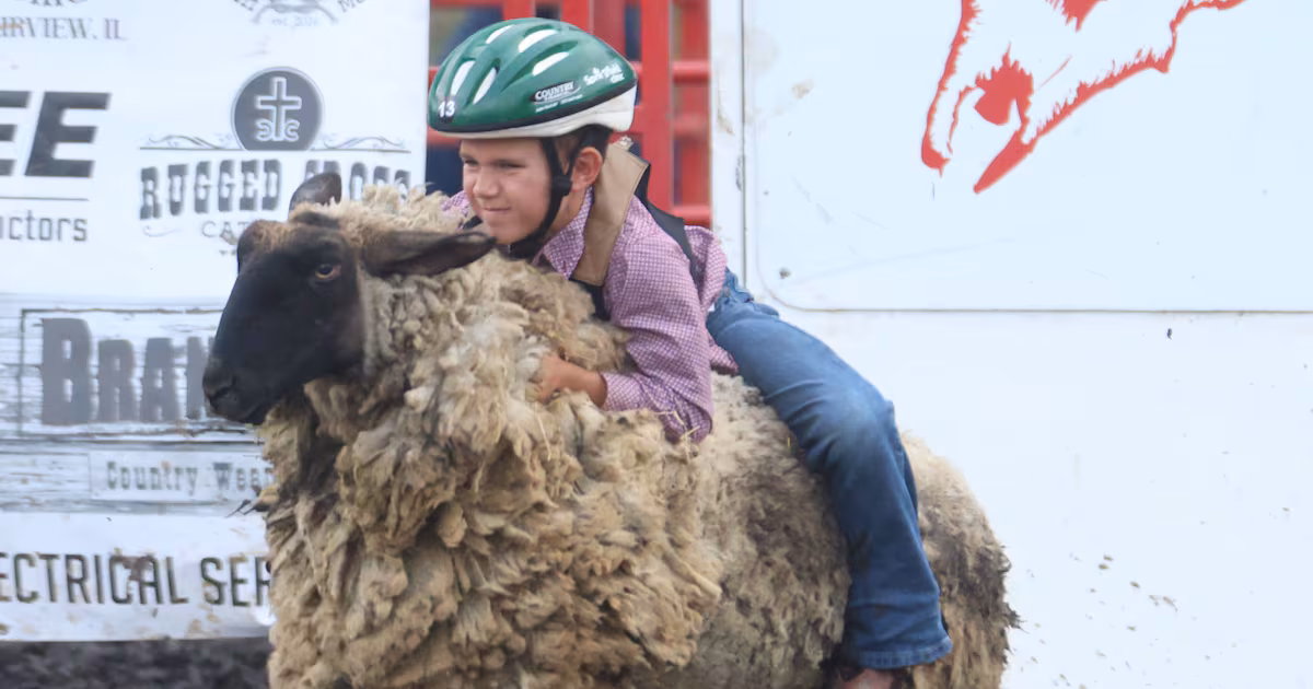La Salle County 4-H Show and Junior Fair Rodeo