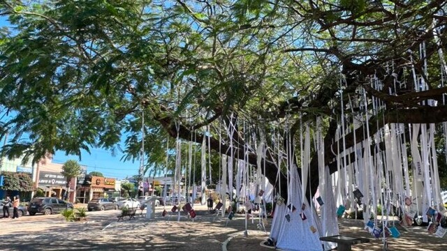 Feira Literária de Bonito