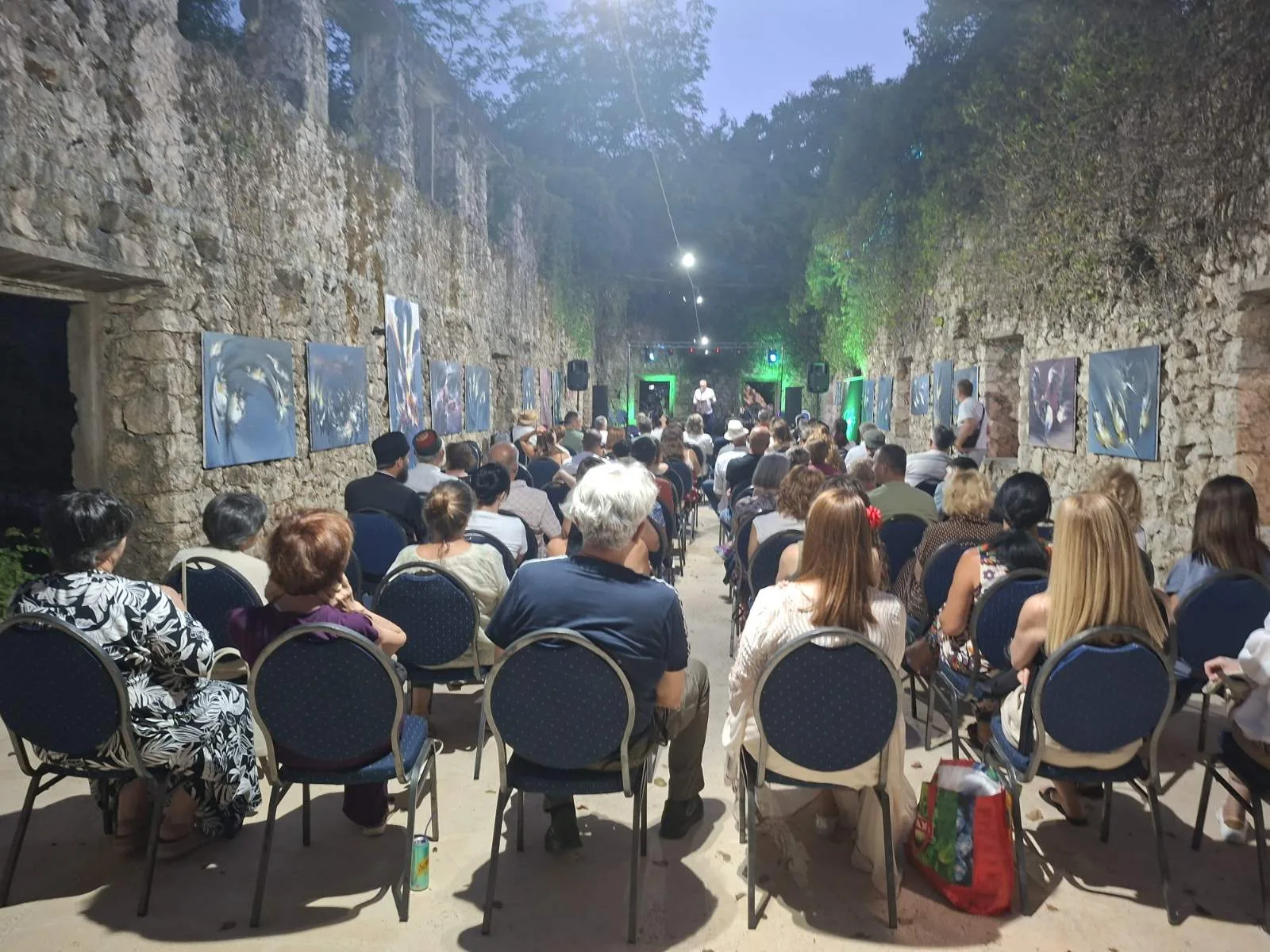 Godinjske zvjezdane noći