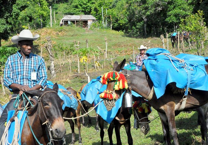 Festival de arrieros y fabulaciones serranas