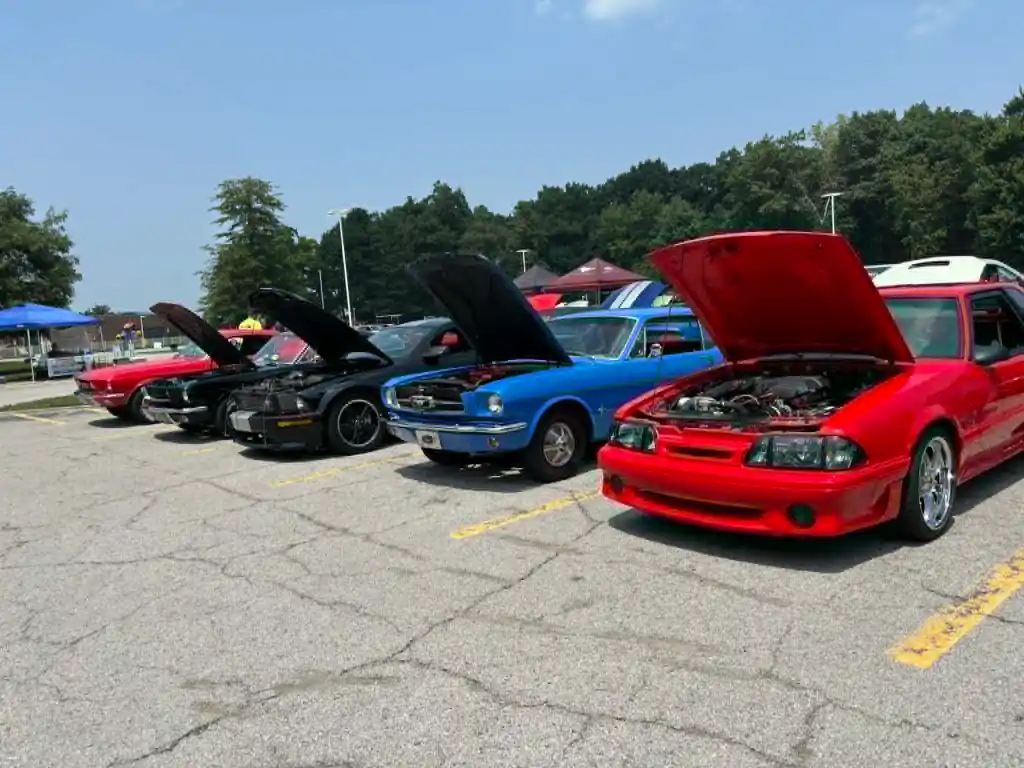 20th annual All Ford and Mustang Car Show