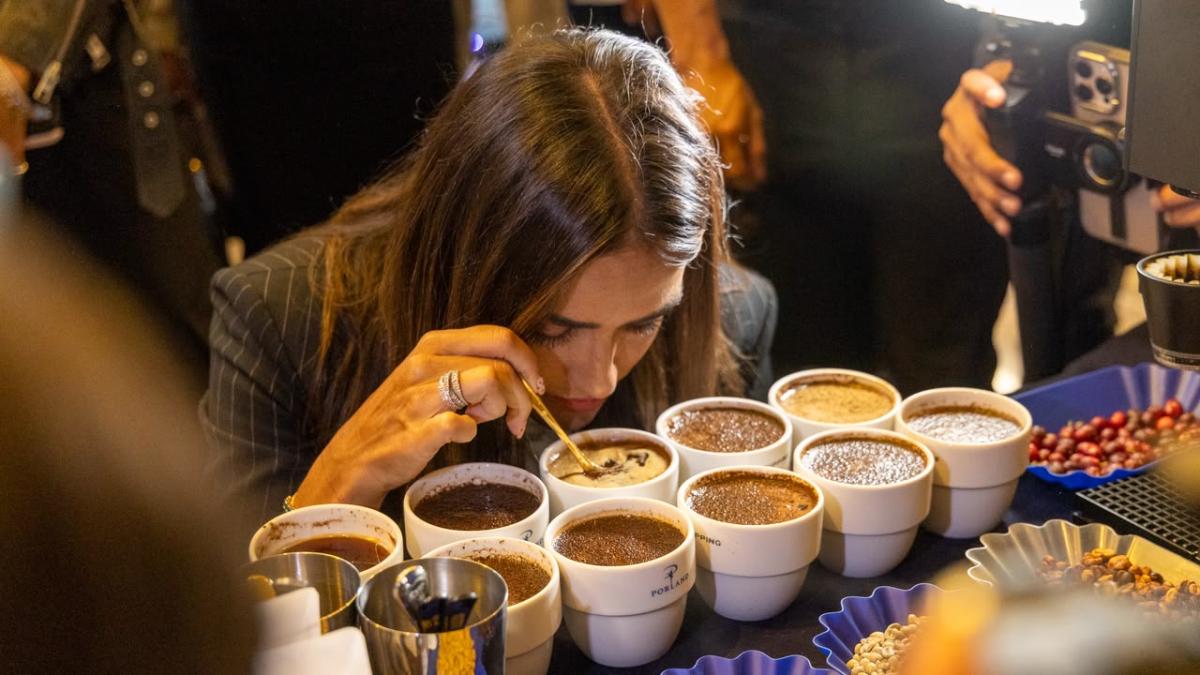 Café Festival MX 2026