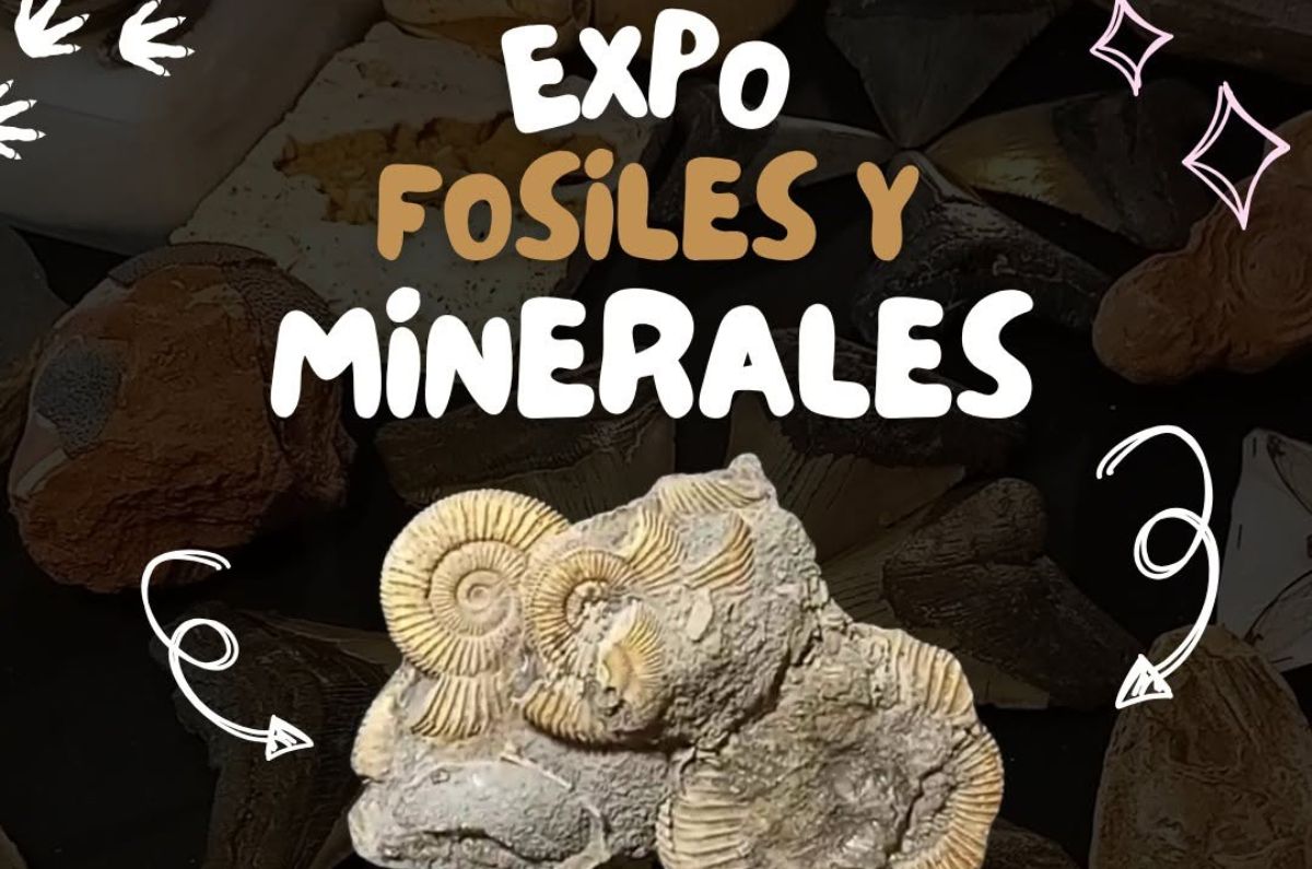 La Expo de Fósiles y Minerales