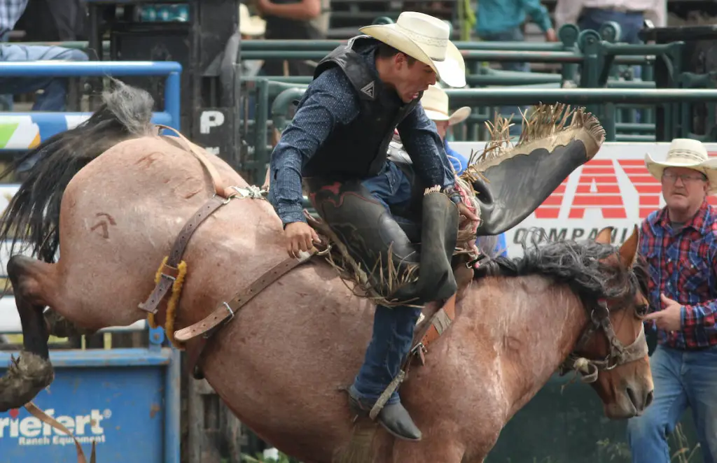 59th annual Rimbey Rodeo