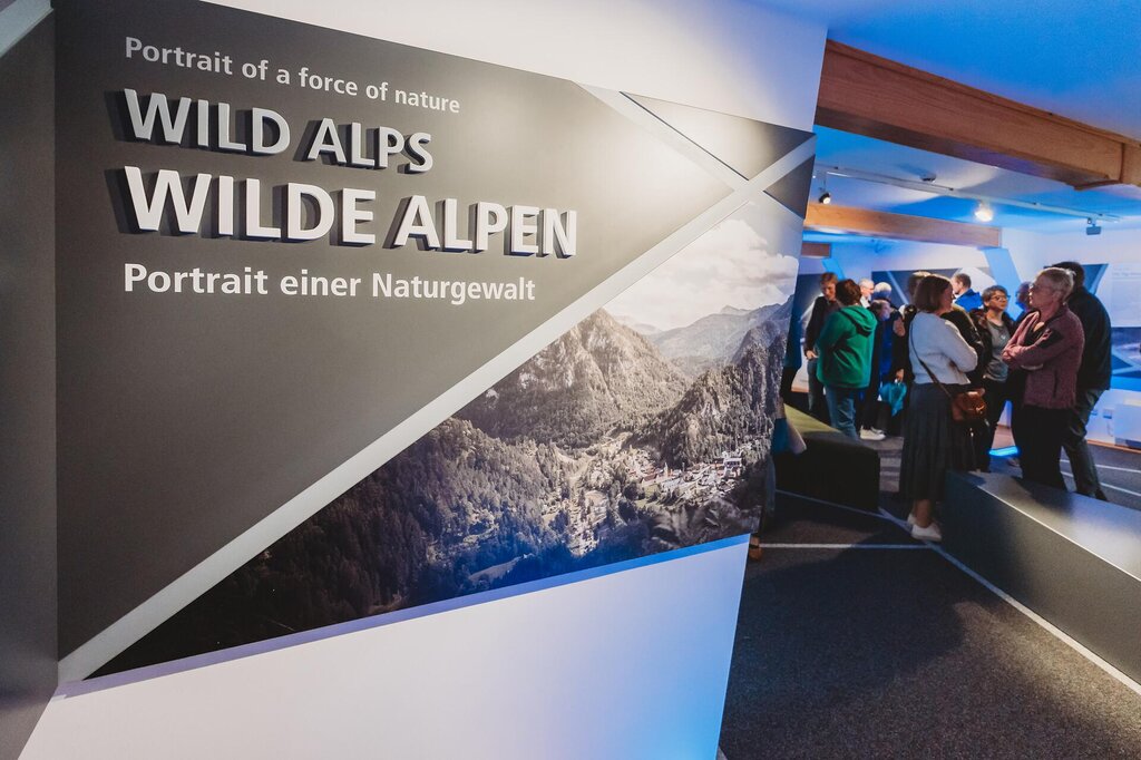 Special Exhibition "The Landslide of Wildalpen"