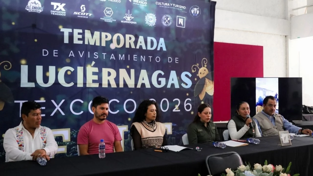 Festival Internacional de las Luciérnagas 2026