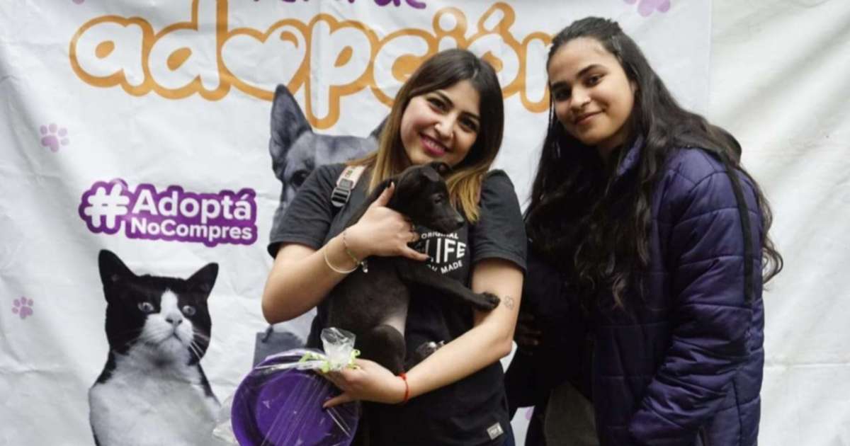 Feria de Adopción Responsable de Animales