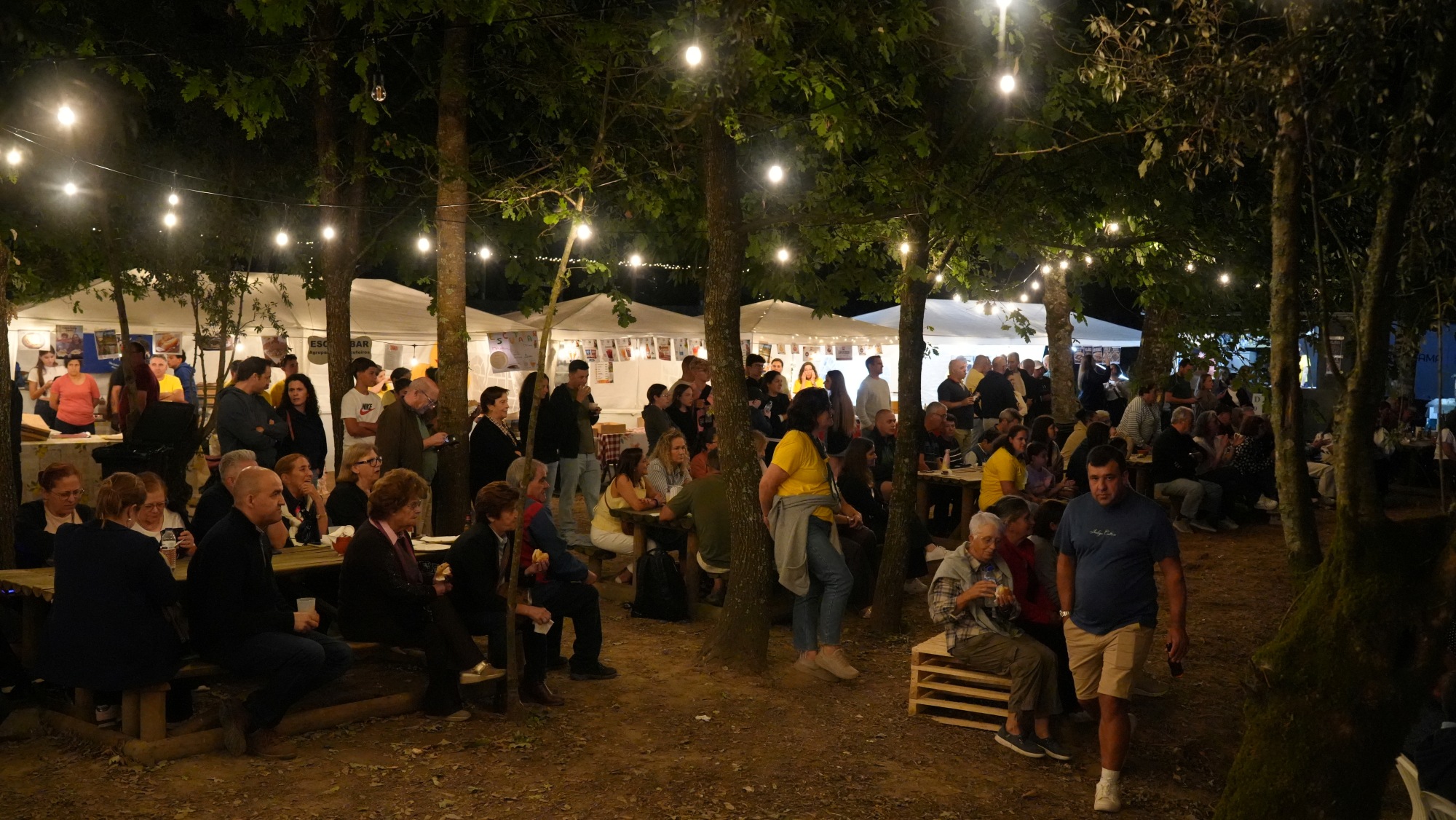 Festival Forças Vivas