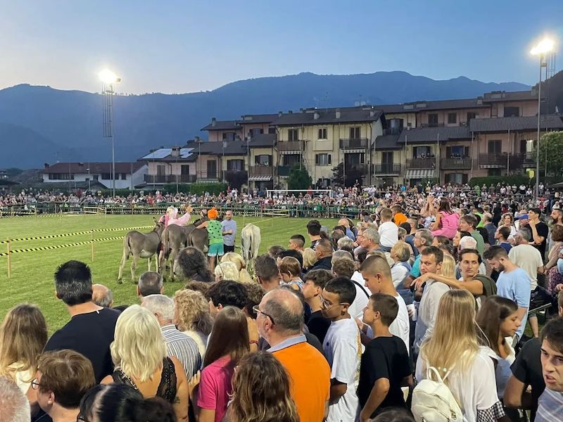 Palio degli Asini e Fiera del Carmine