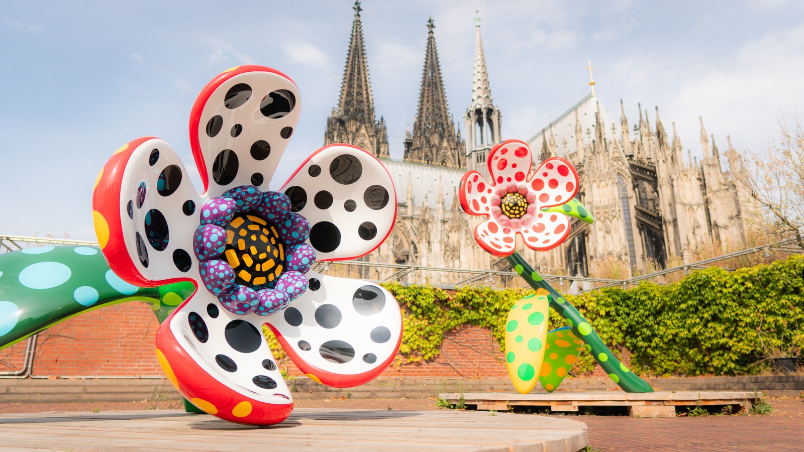 Yayoi-Kusama-Ausstellung