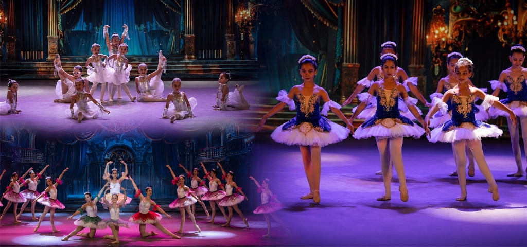 Hany Hassan Ballet Show (Don Quixote Selections & Gala Concert)