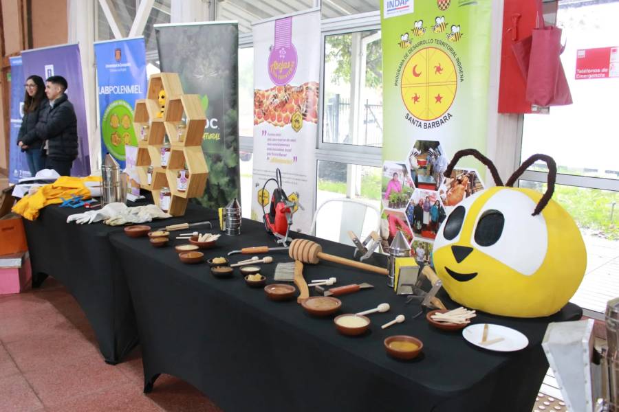 II Api Expo 2026