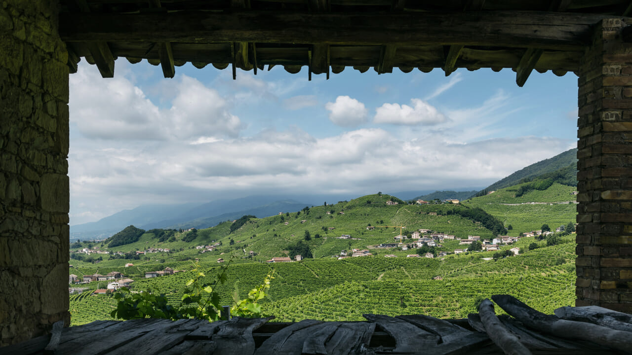 Culture e paesaggi del vino. Il senso della terra e la voce dell’architettura