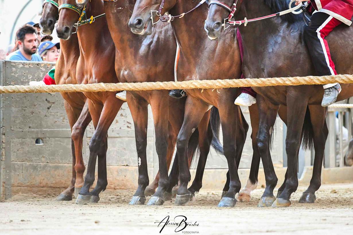 Palio 16 agosto 2026