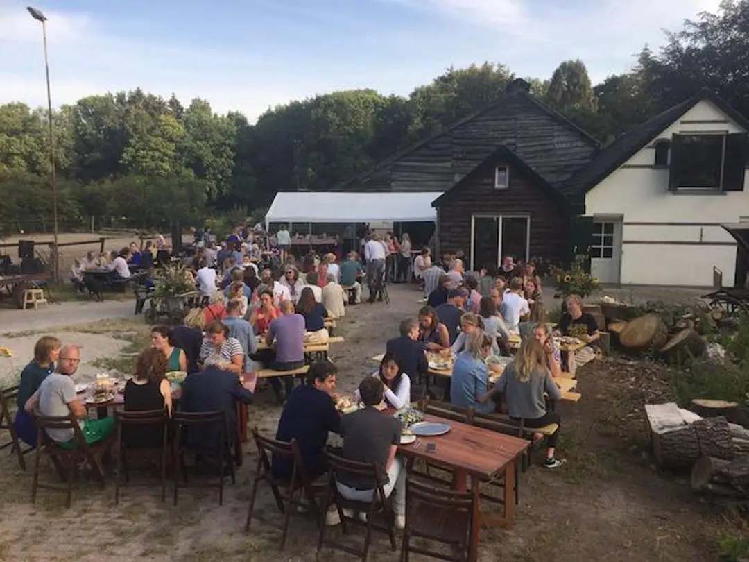 Festival Zandhegge