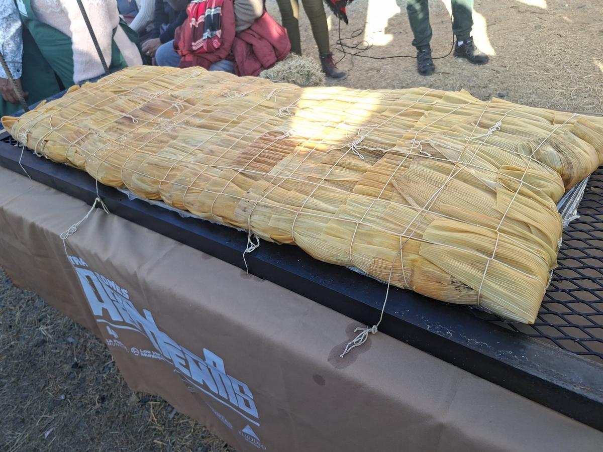 Fiesta Nacional e Internacional del Poncho