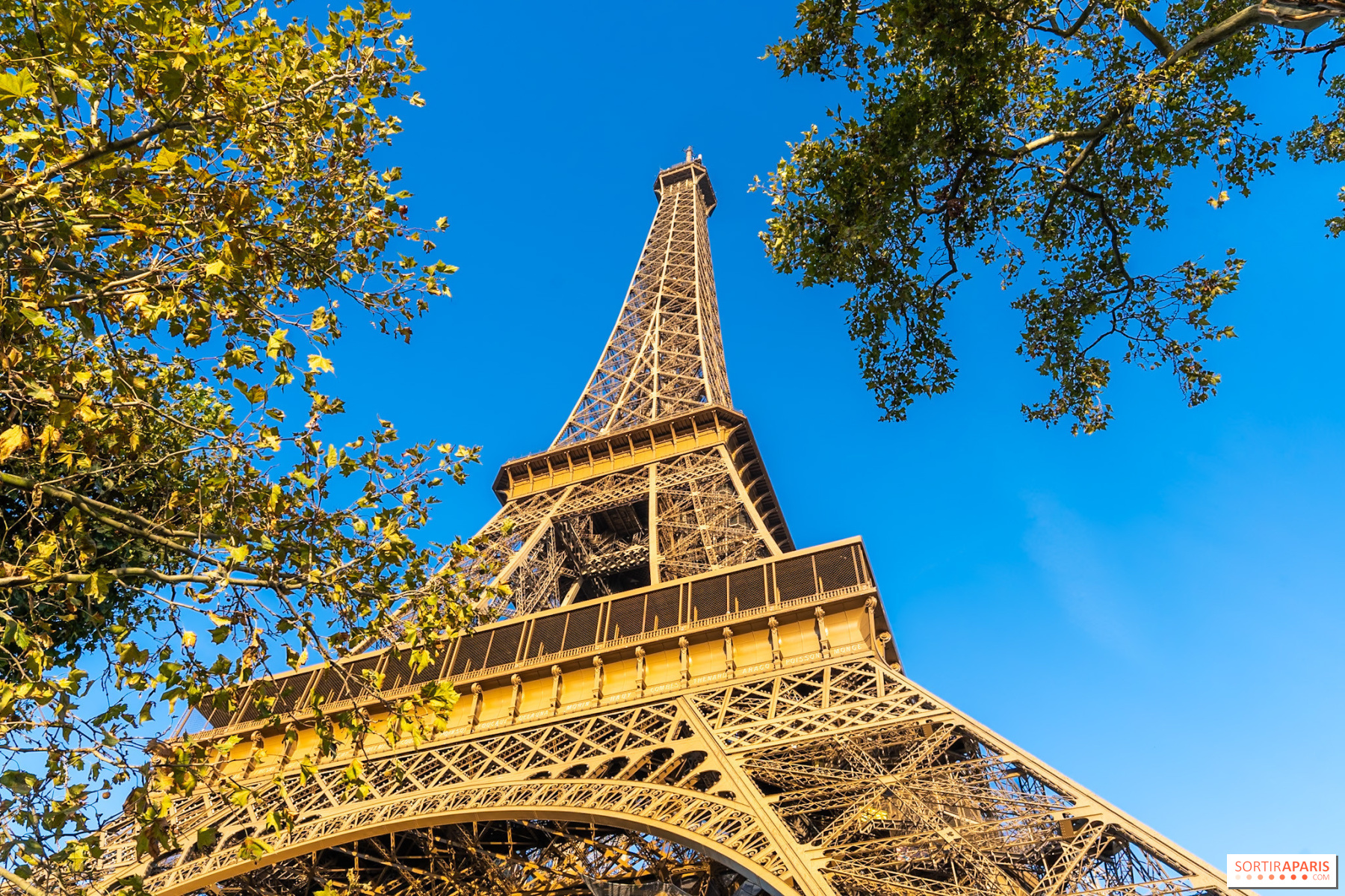 Cinéma Paradiso tour Eiffel