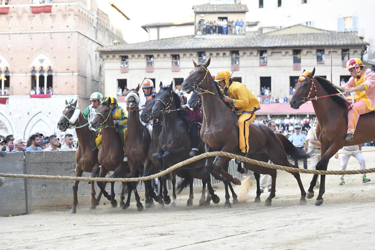 Palio di Siena di Provenzano