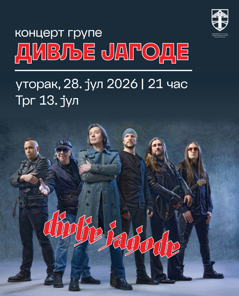Koncert rok grupe Divlje jagode