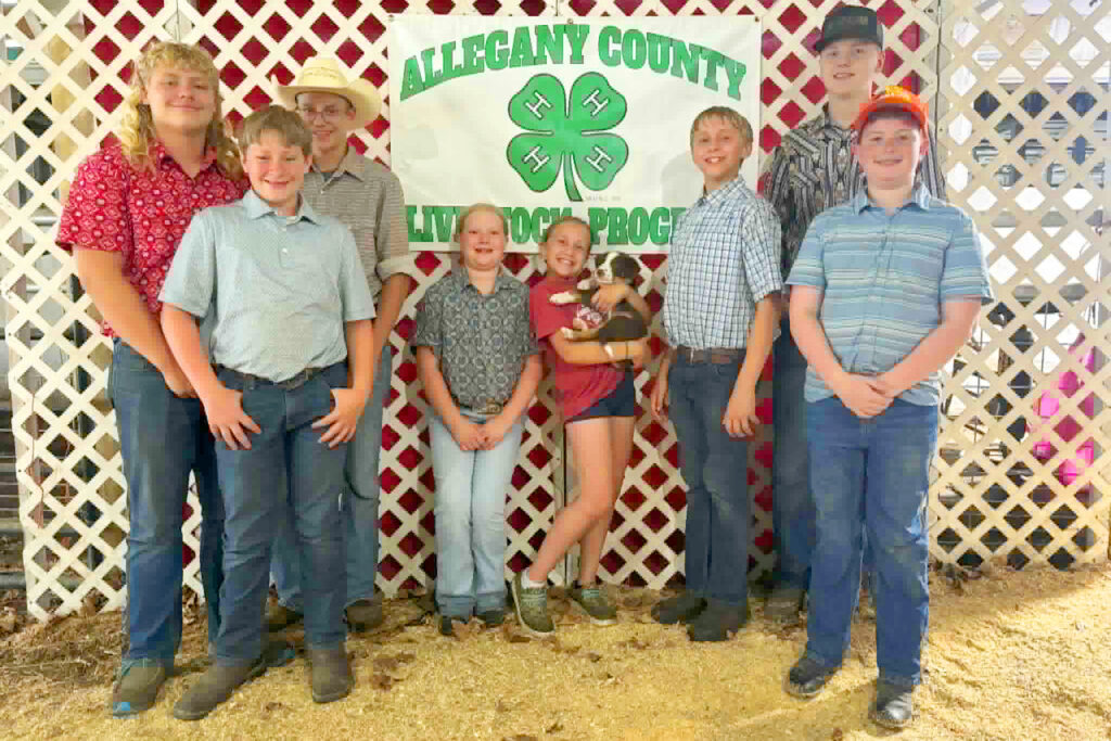 Market Poultry Show
