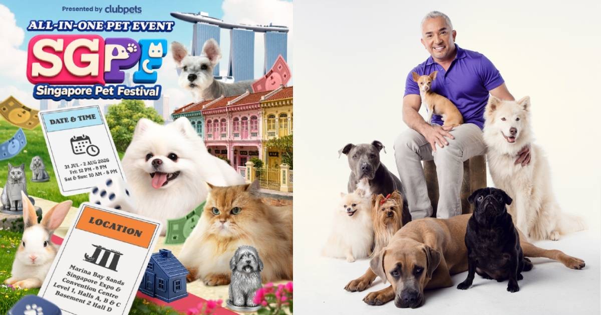Singapore Pet Festival 2026
