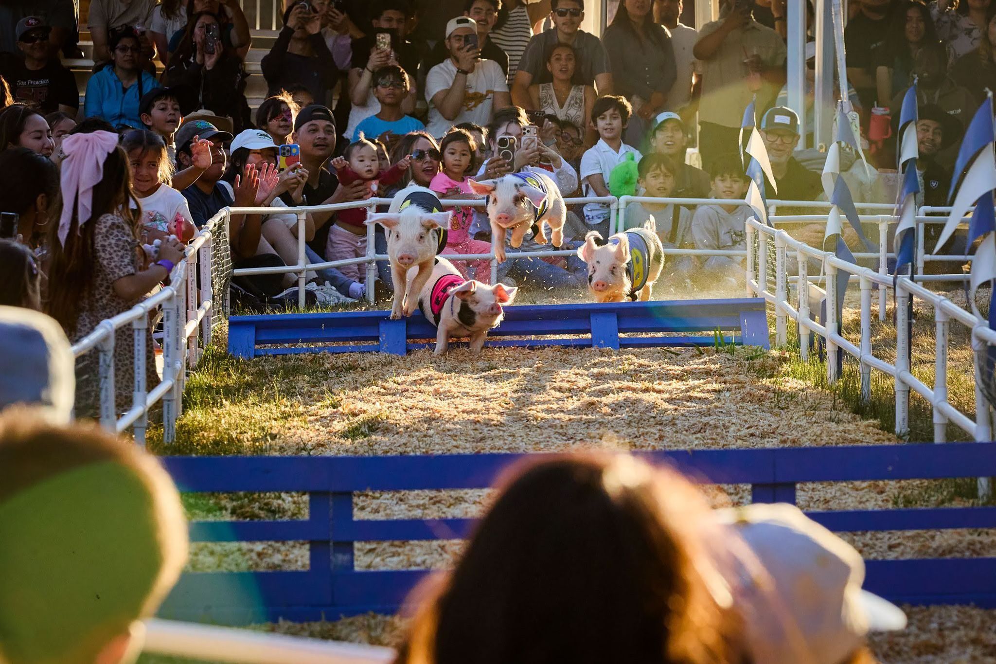 Alameda County Fair