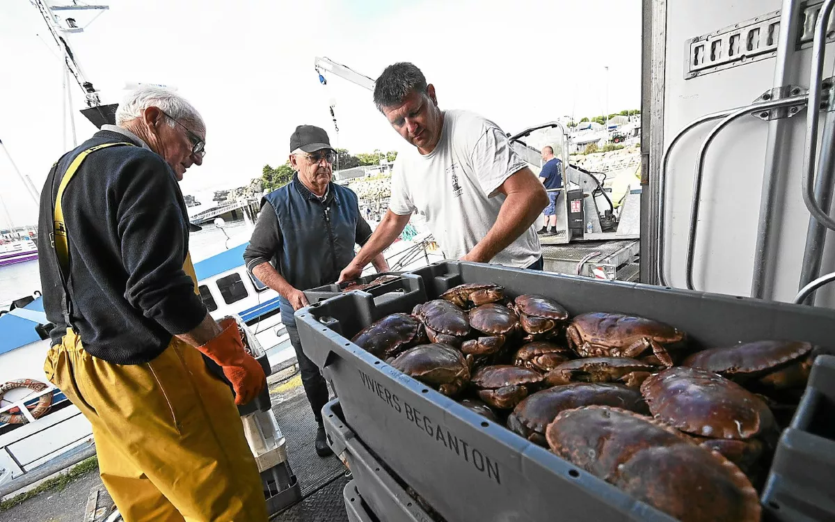 Fête du crabe à Plouarzel