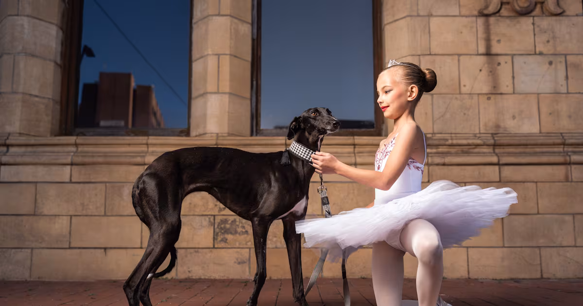 Nelson Mandela Bay Dance Festival