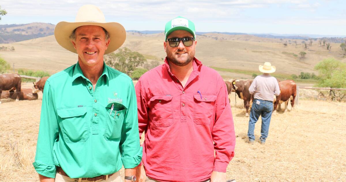 The Land Southern Beef Week