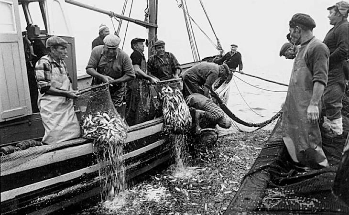 Exposição sobre a história da pesca em Portimão