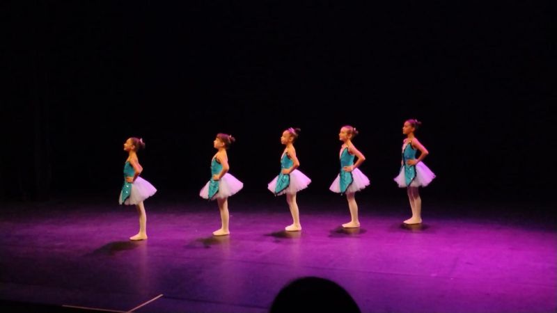 Festival Competitivo FDB