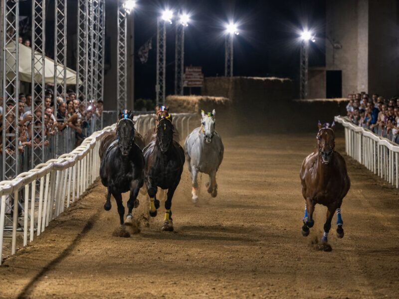 Palio Città di Ronciglione 2026