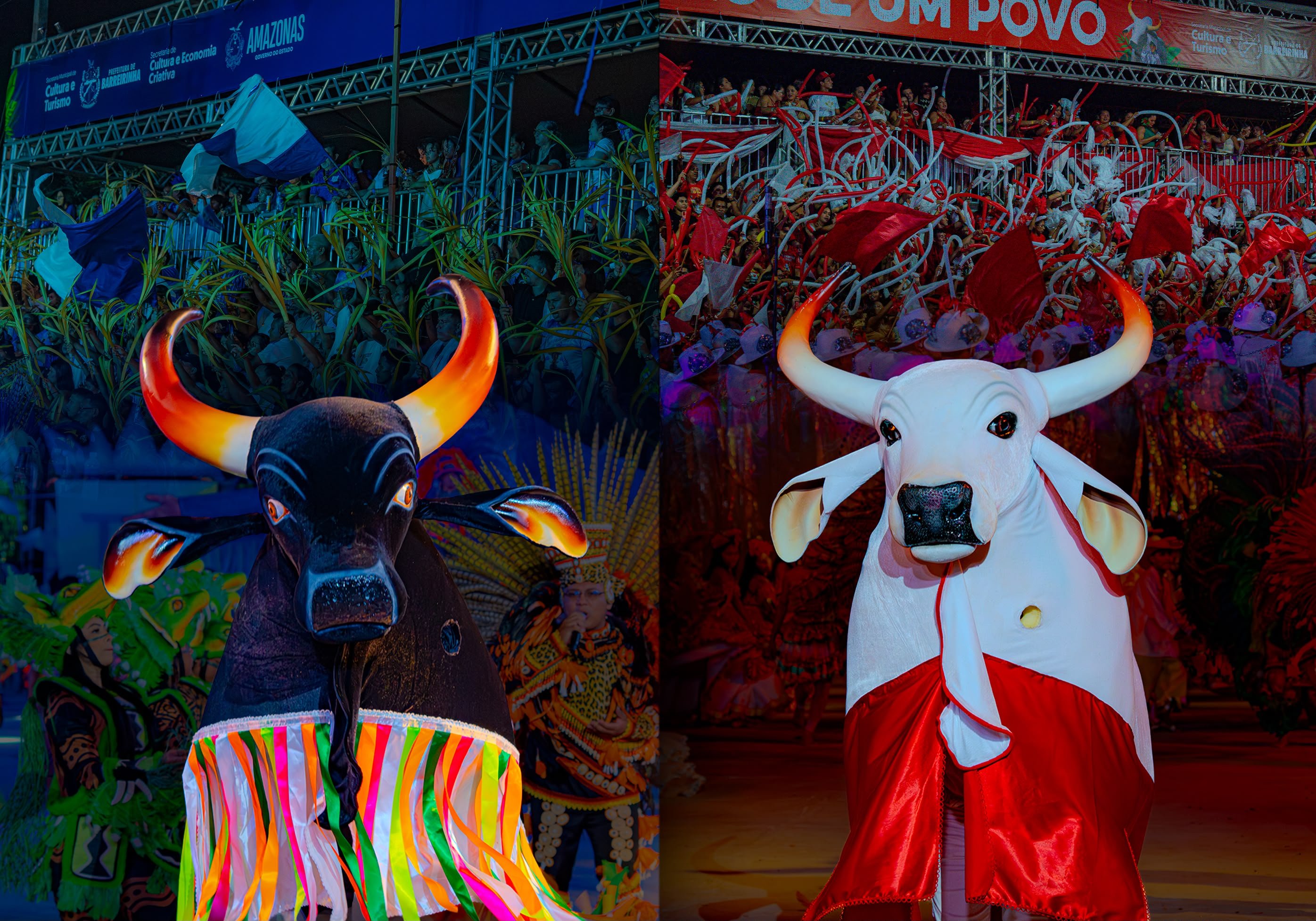 Festival dos Touros de Barreirinha