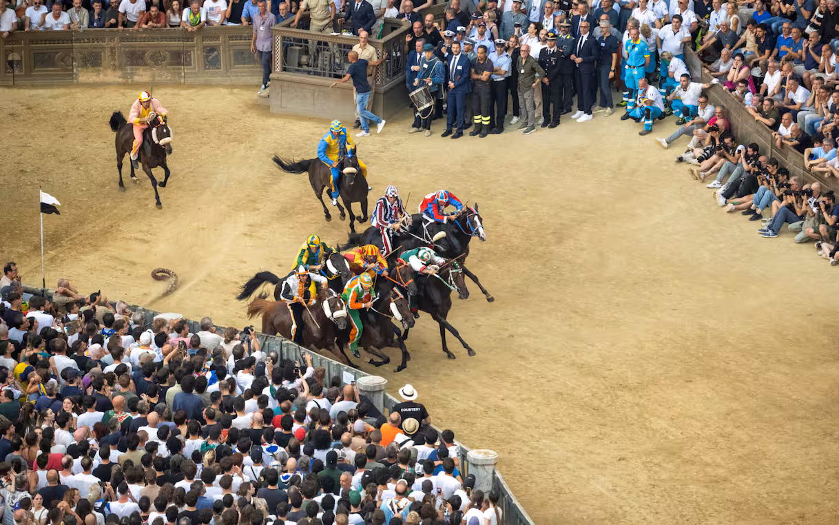 Palio di Siena della Madonna di Provenzano 2026