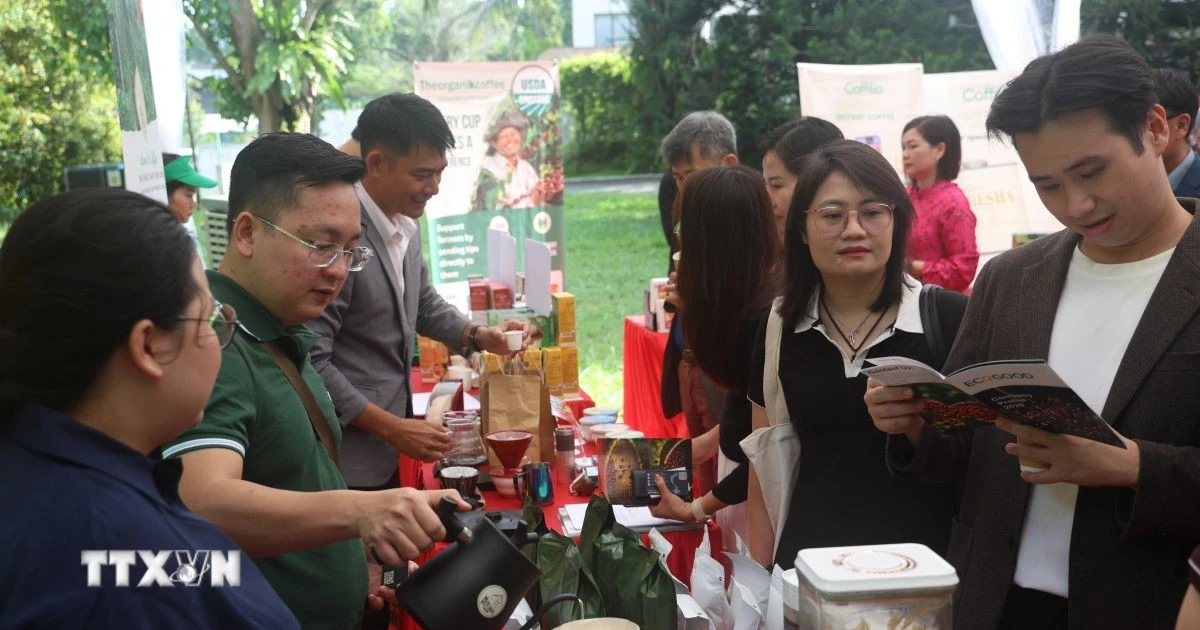 Lễ hội Càphê Việt Nam tại Singapore 2026