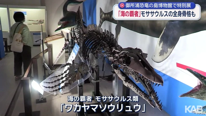 「海の古代生物」特別展