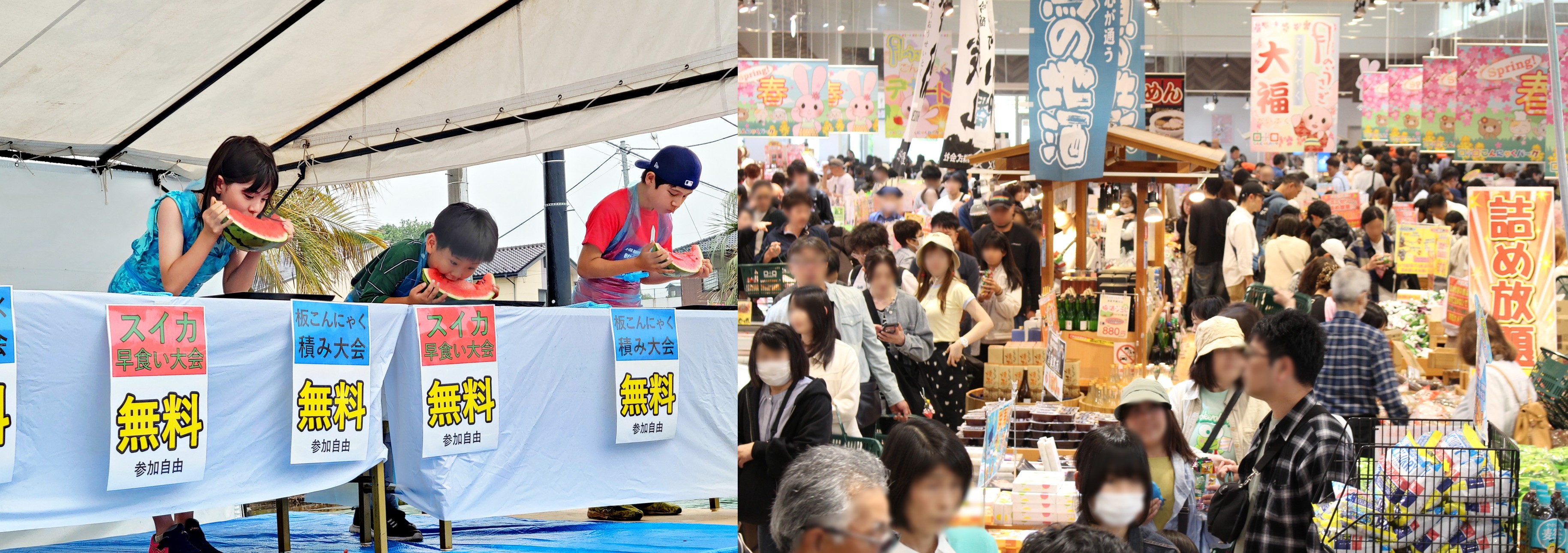 こんにゃくパーク『夏フェス2026』