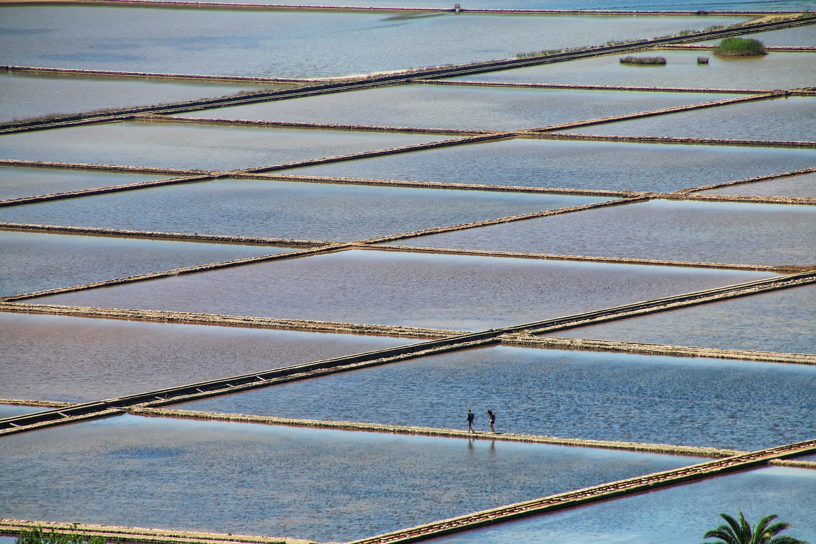 Ston Salt Festival
