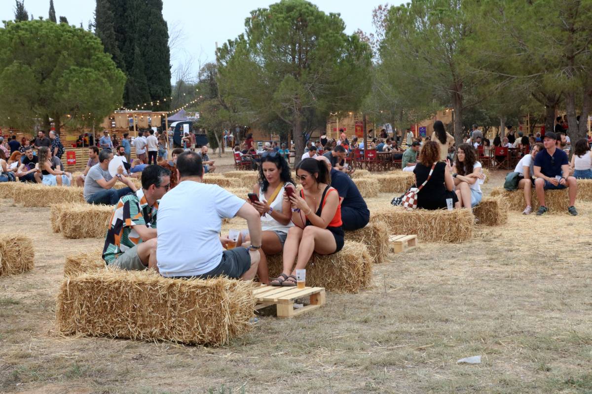 Vida Festival