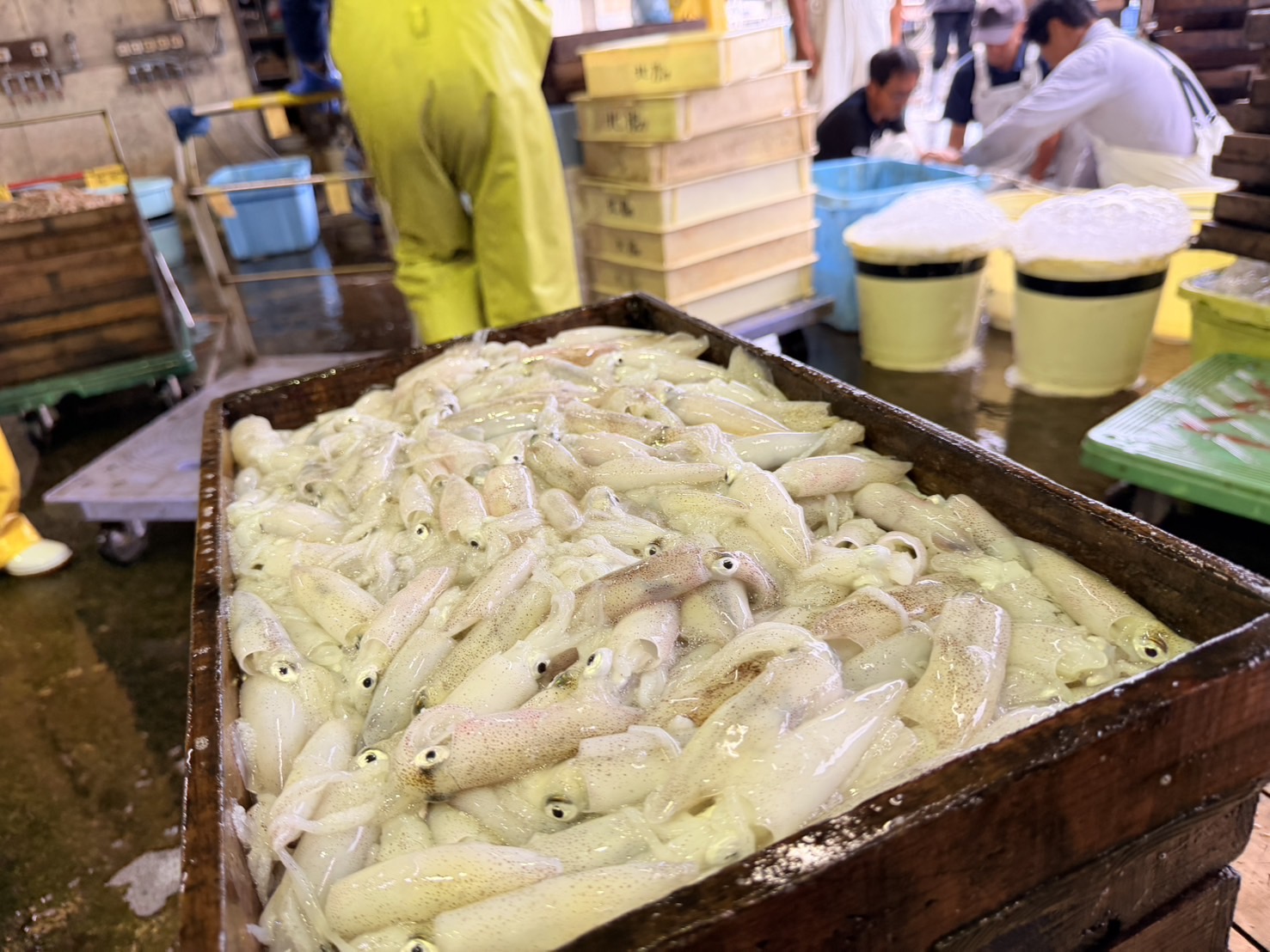 夏の寿司まつり