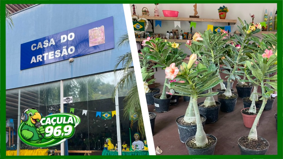 Exposição de Orquídeas e Rosas do Deserto