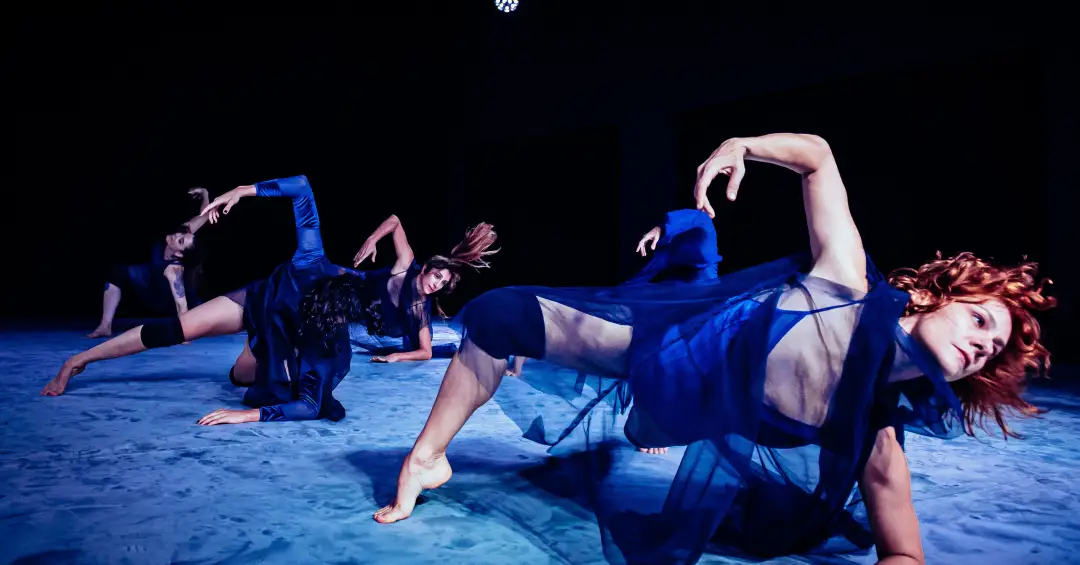 Festival Dança em Trânsito