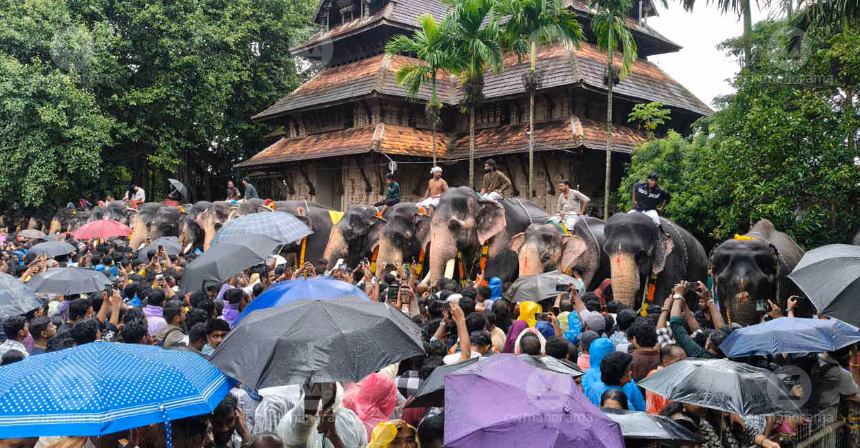 Aanayoottu (Elephant Feeding Festival)