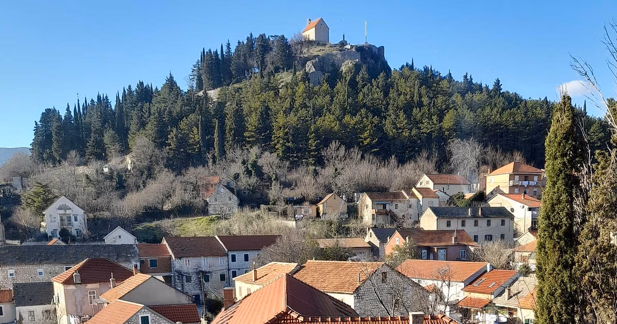 Izložba Mira Vuce 'Povratak'