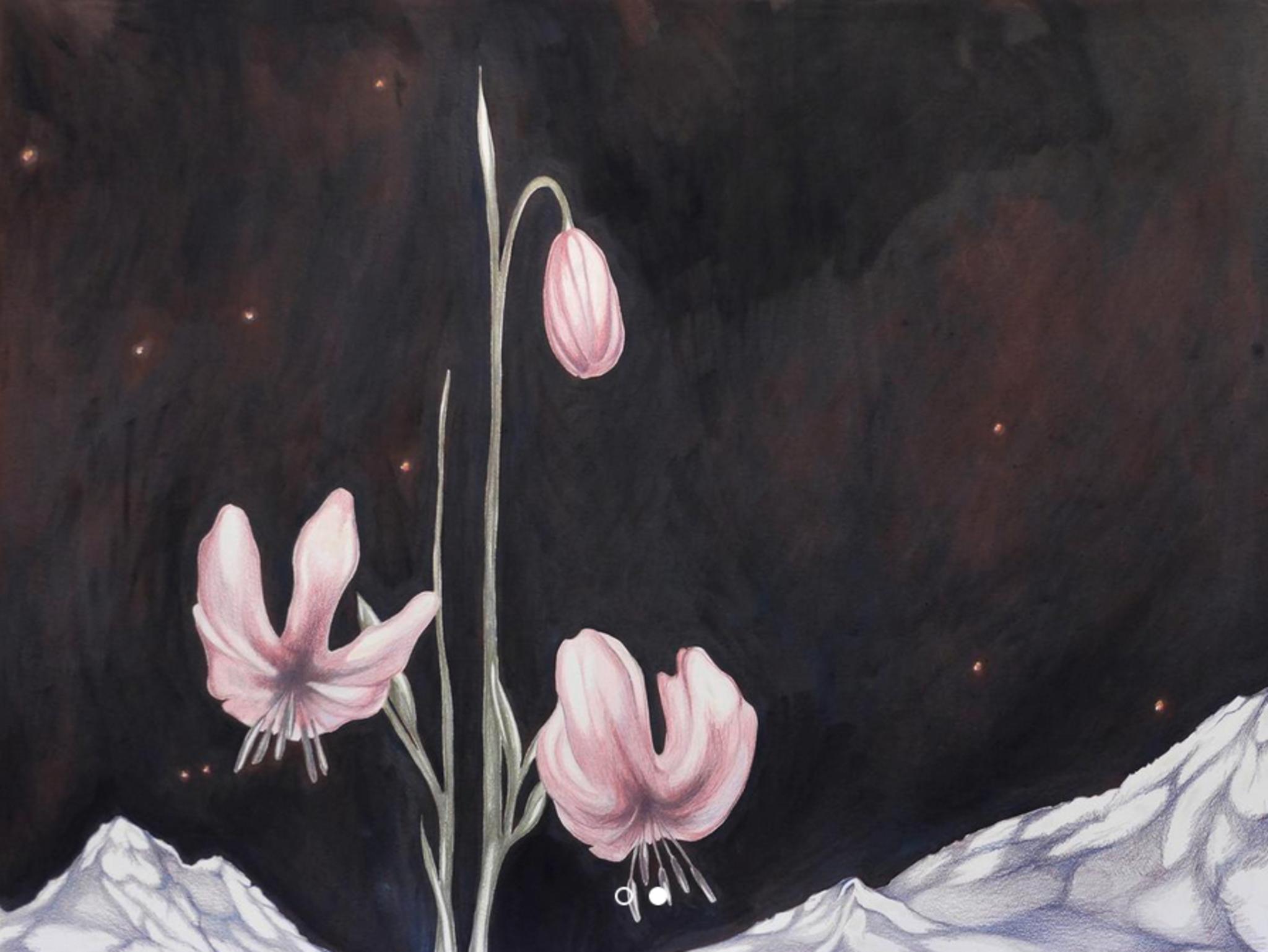 Bedrohte Blumen im Alpenraum