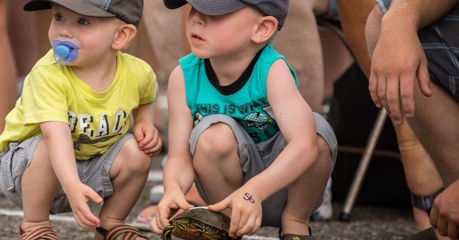 Hoyt Lakes Water Carnival