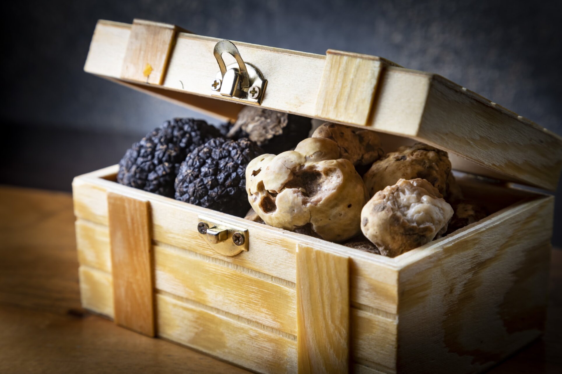 International Truffle Festival Graz 2026