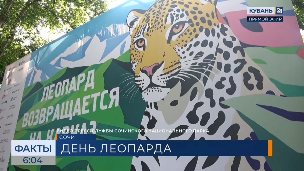 Фестиваль в честь Дня переднеазиатского леопарда