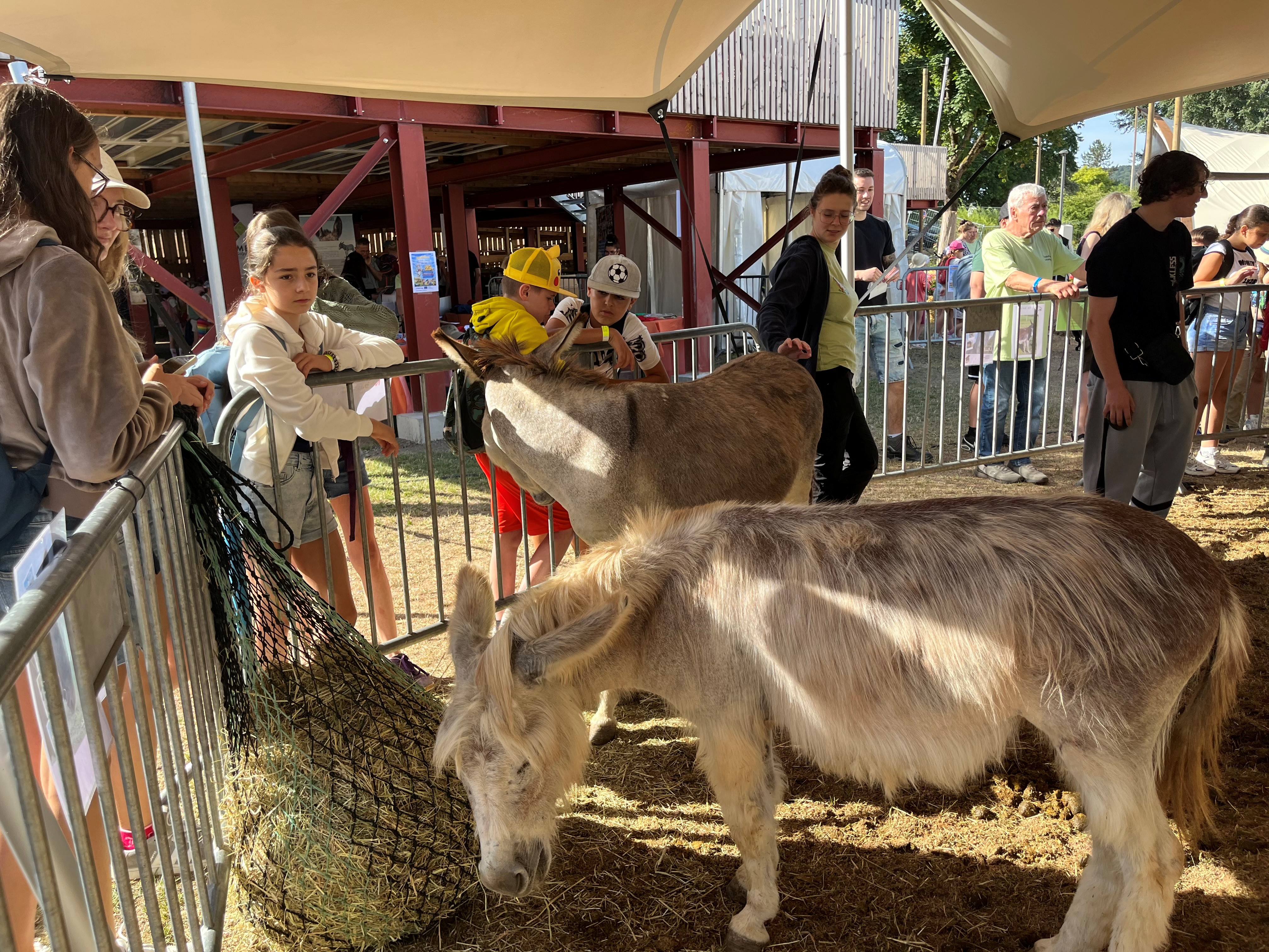 Ettelbruck Agricultural Fair