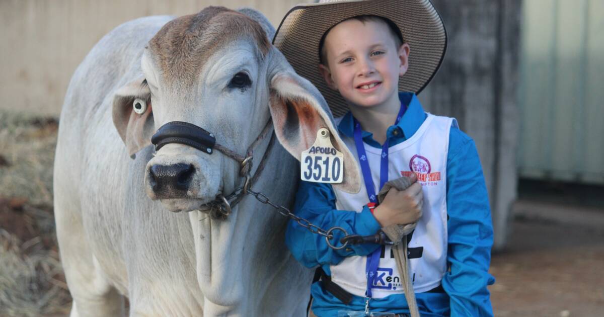 Junior Beef Show